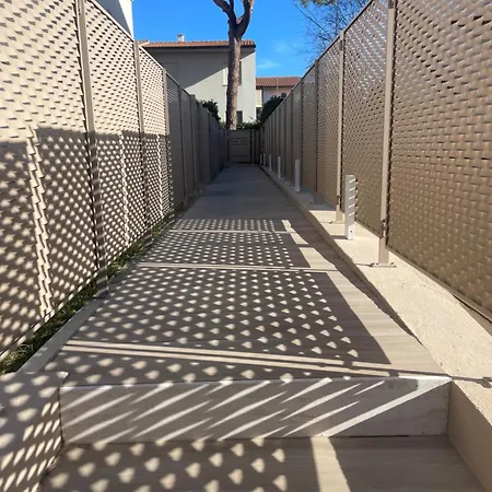 L'angolo Di Luce Marcelli